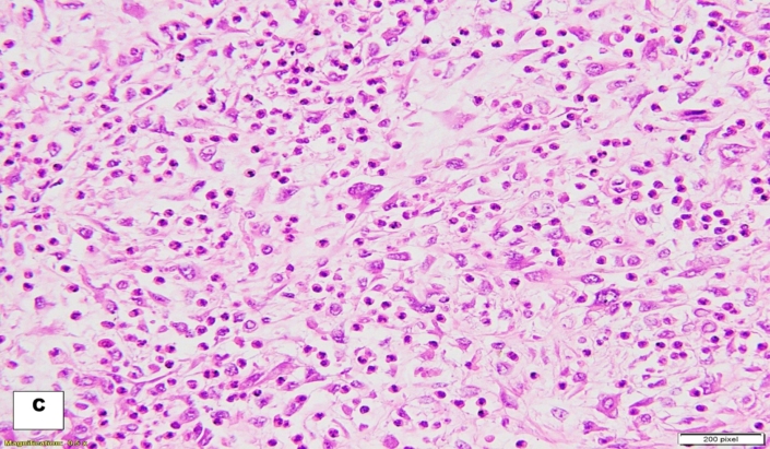 Fig C