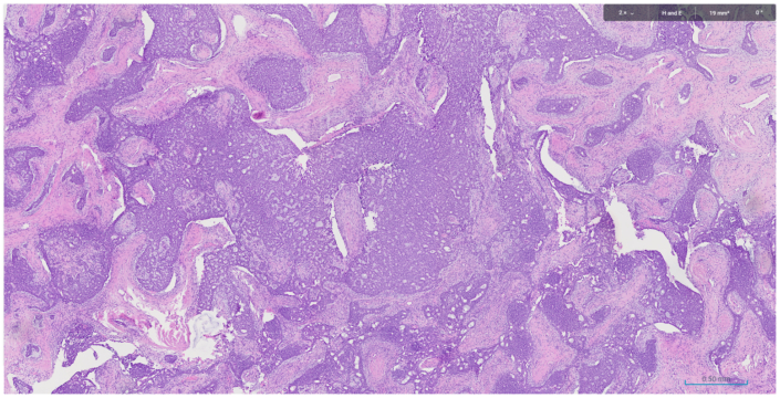 Fig1
