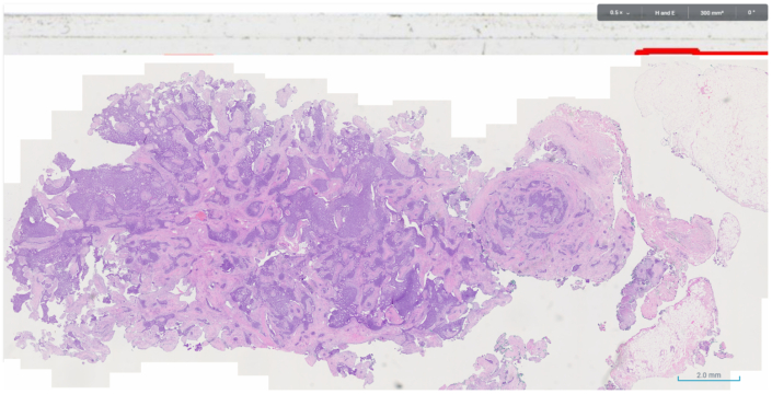 Fig2