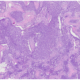 Fig3