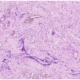 Fig2