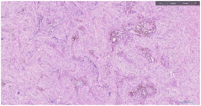 Fig3